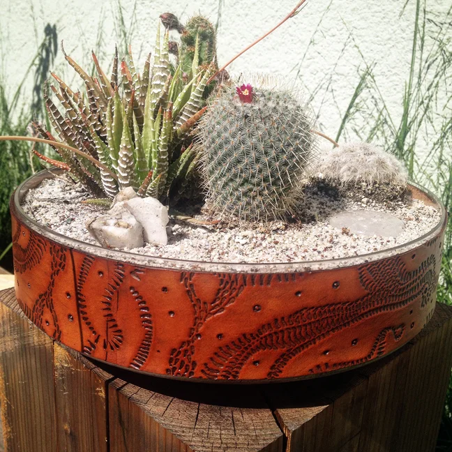 cactuswrap.jpg