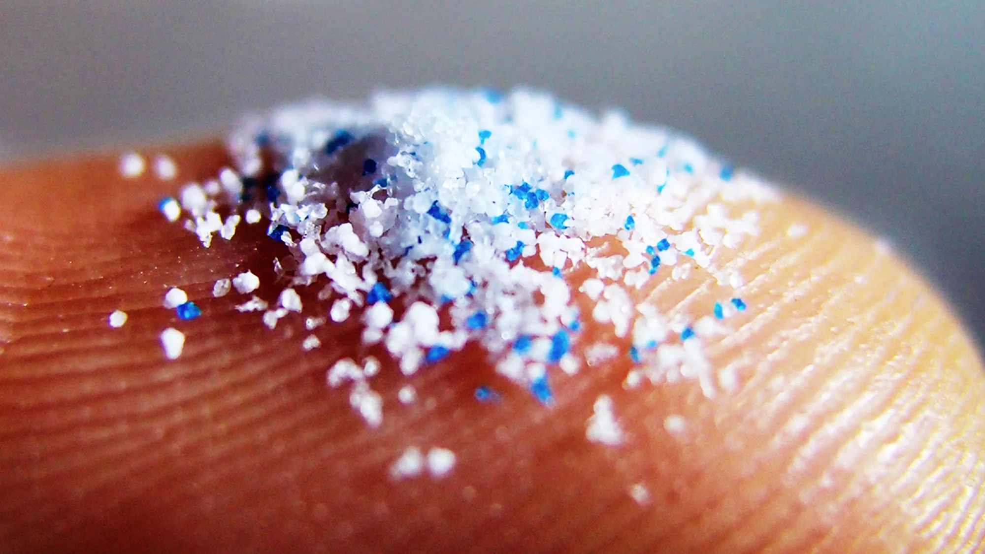What are Marine Microplastics?