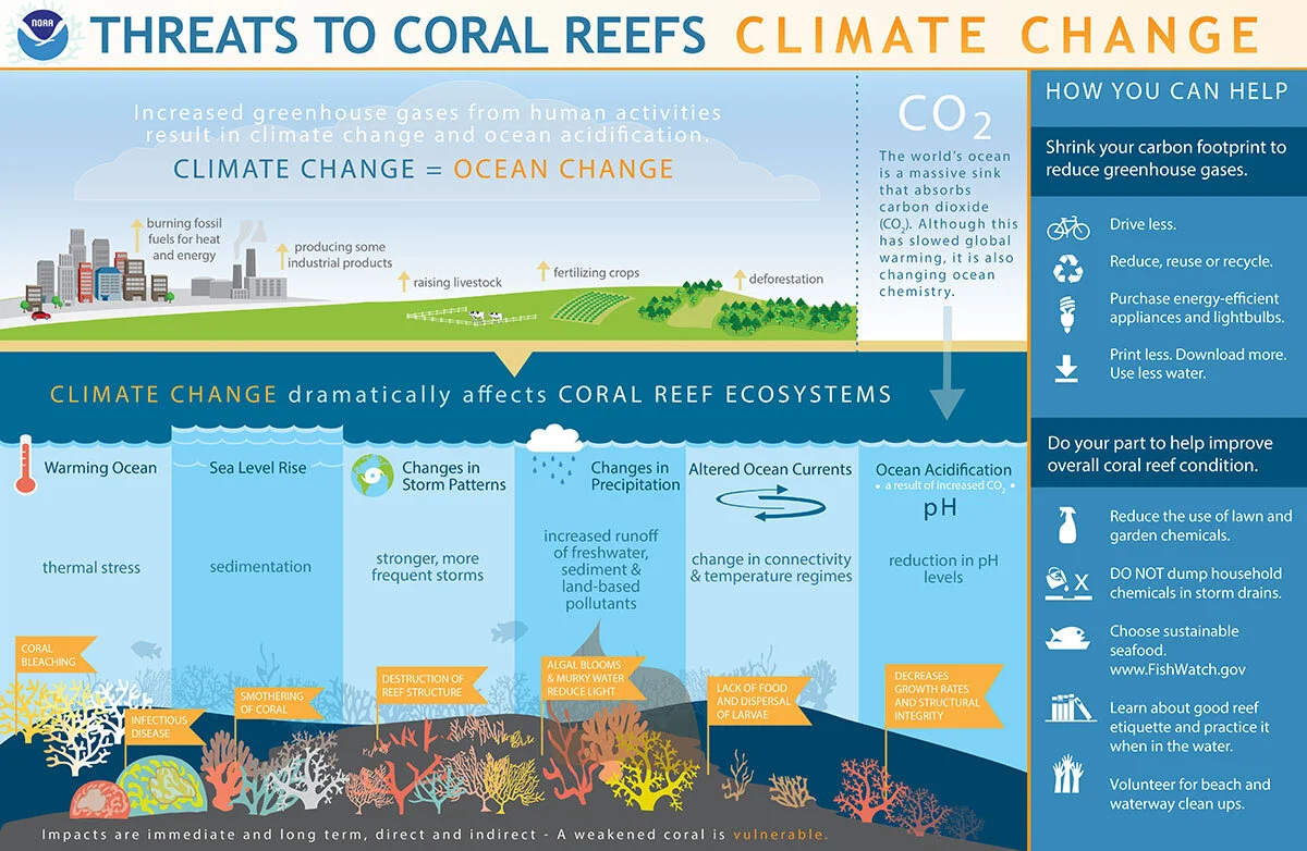 The Catastrophic Impact of Climate Change on Coral Reefs