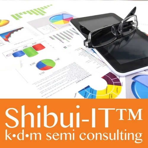 Shibui-IT™ Business Intelligence @ work