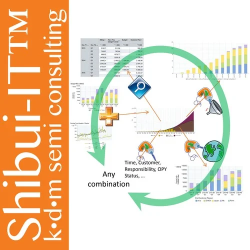 Shibui-IT™ Business Intelligence Applications