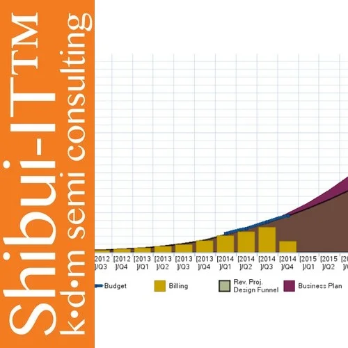 Shibui-IT™ Quarterly Revenue Projection