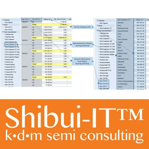 Shibui-IT™ AdHoc Analysis