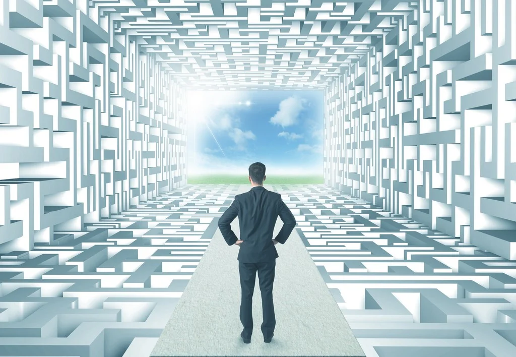 KDM Professional Credentials.jpg