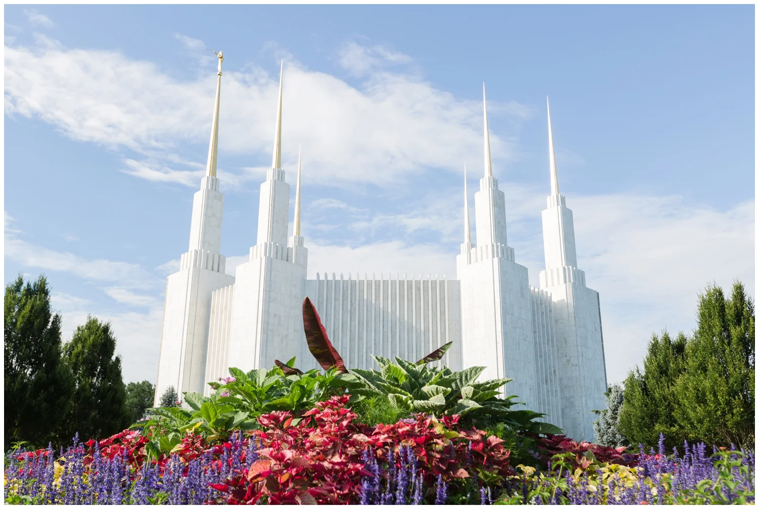 dc temple wedding photographer_0951.jpg