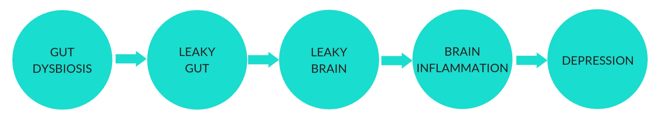 Inflammatory_model_of_depression.jpg