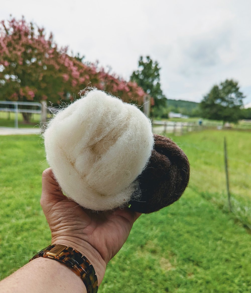 Roving — Sanctuary Wool - Homestead Wool & Gift Farm