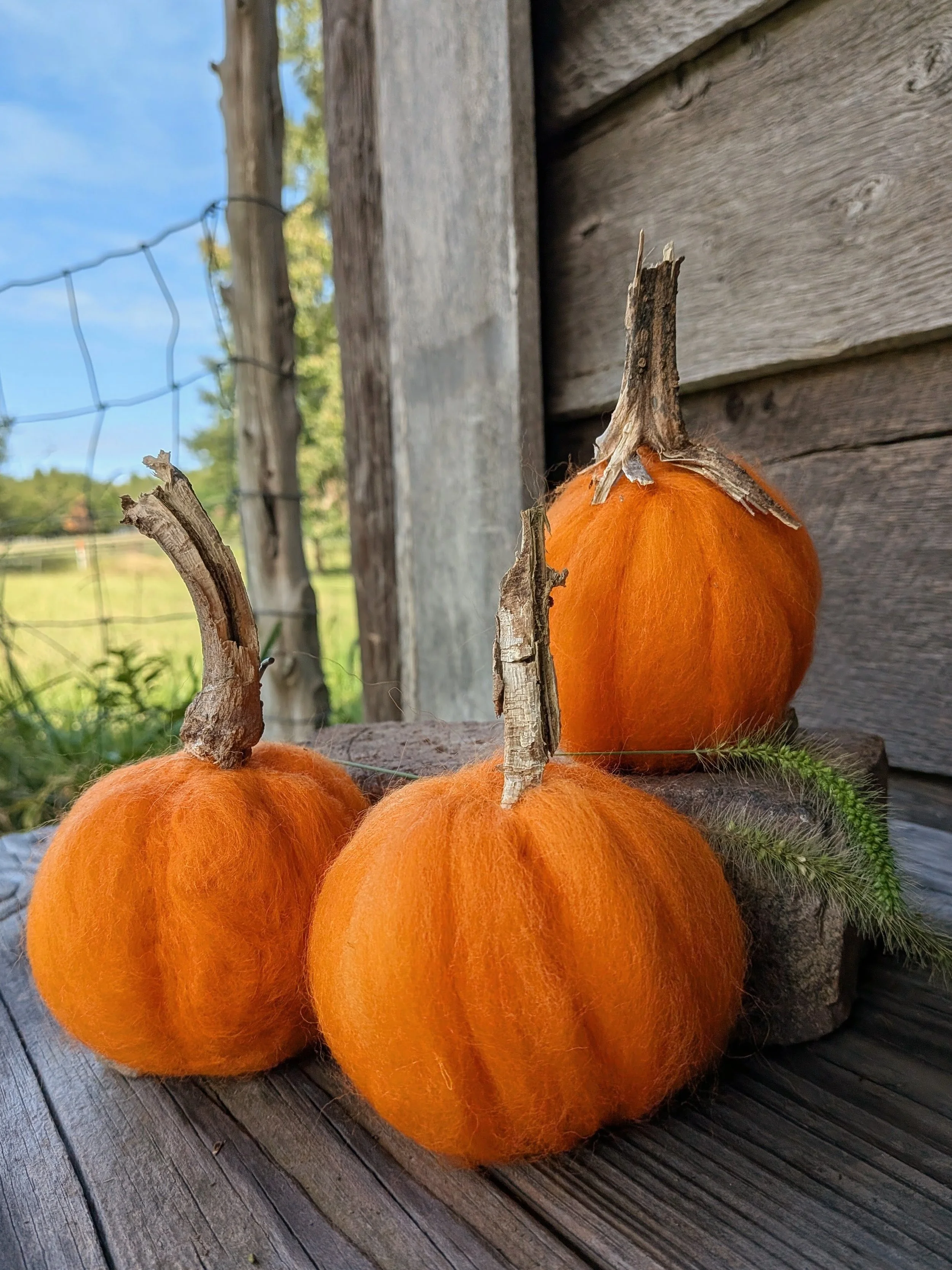 Felting on the Farm// Pumpkins
