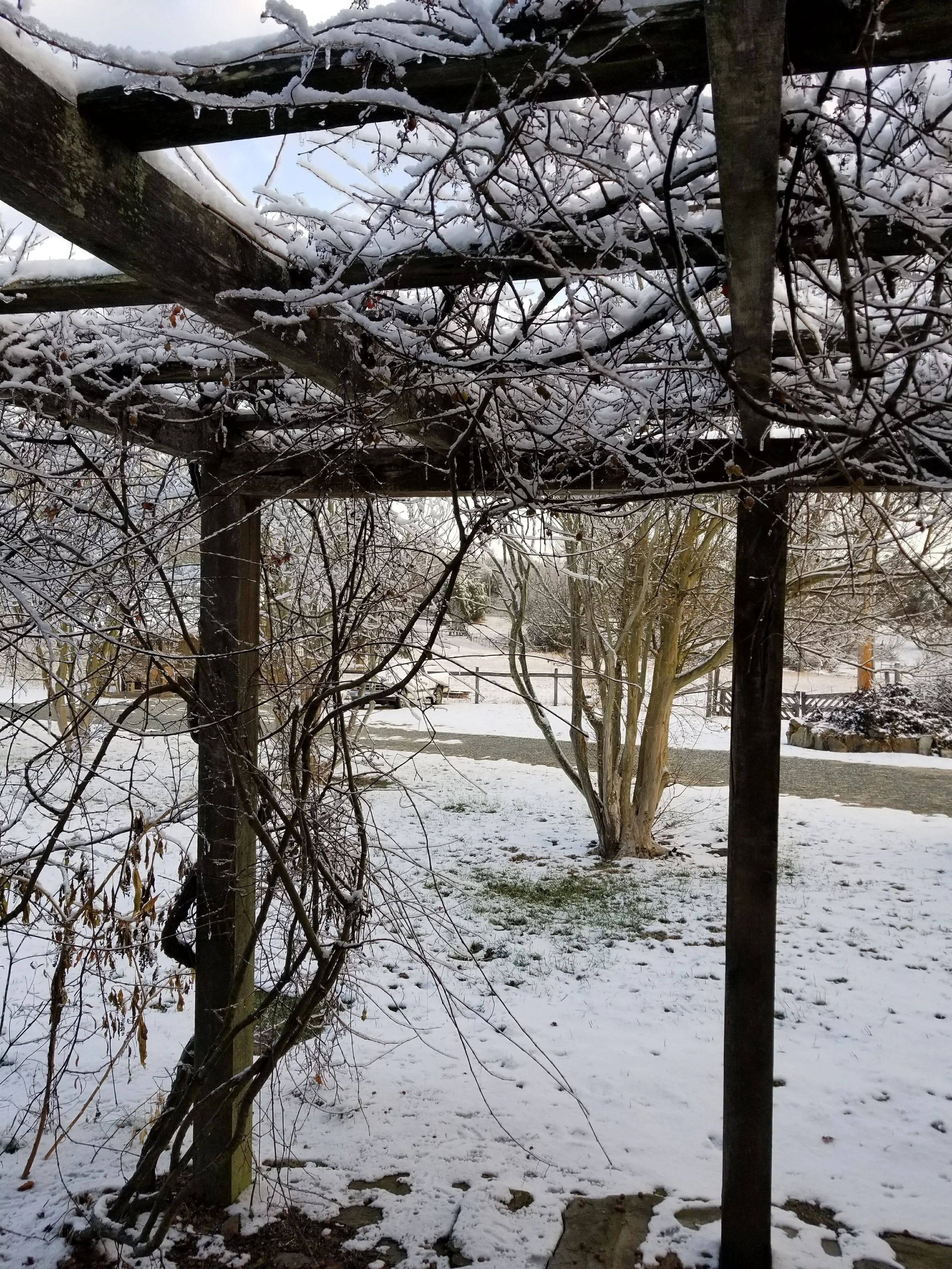 The Architecture of a Slower Life: From briefcase to grain sack