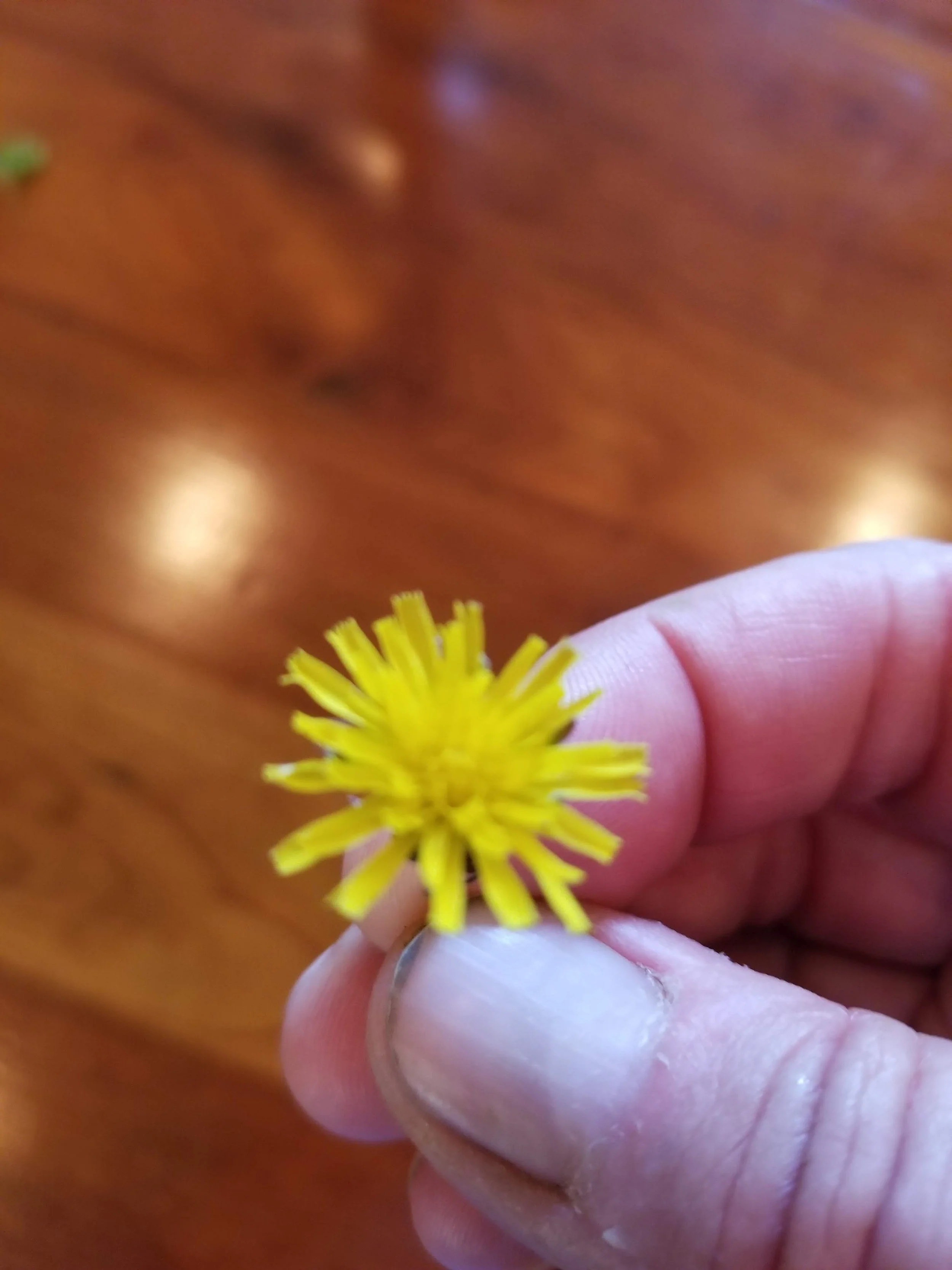 Digital Fallow: when the social media well runs dry