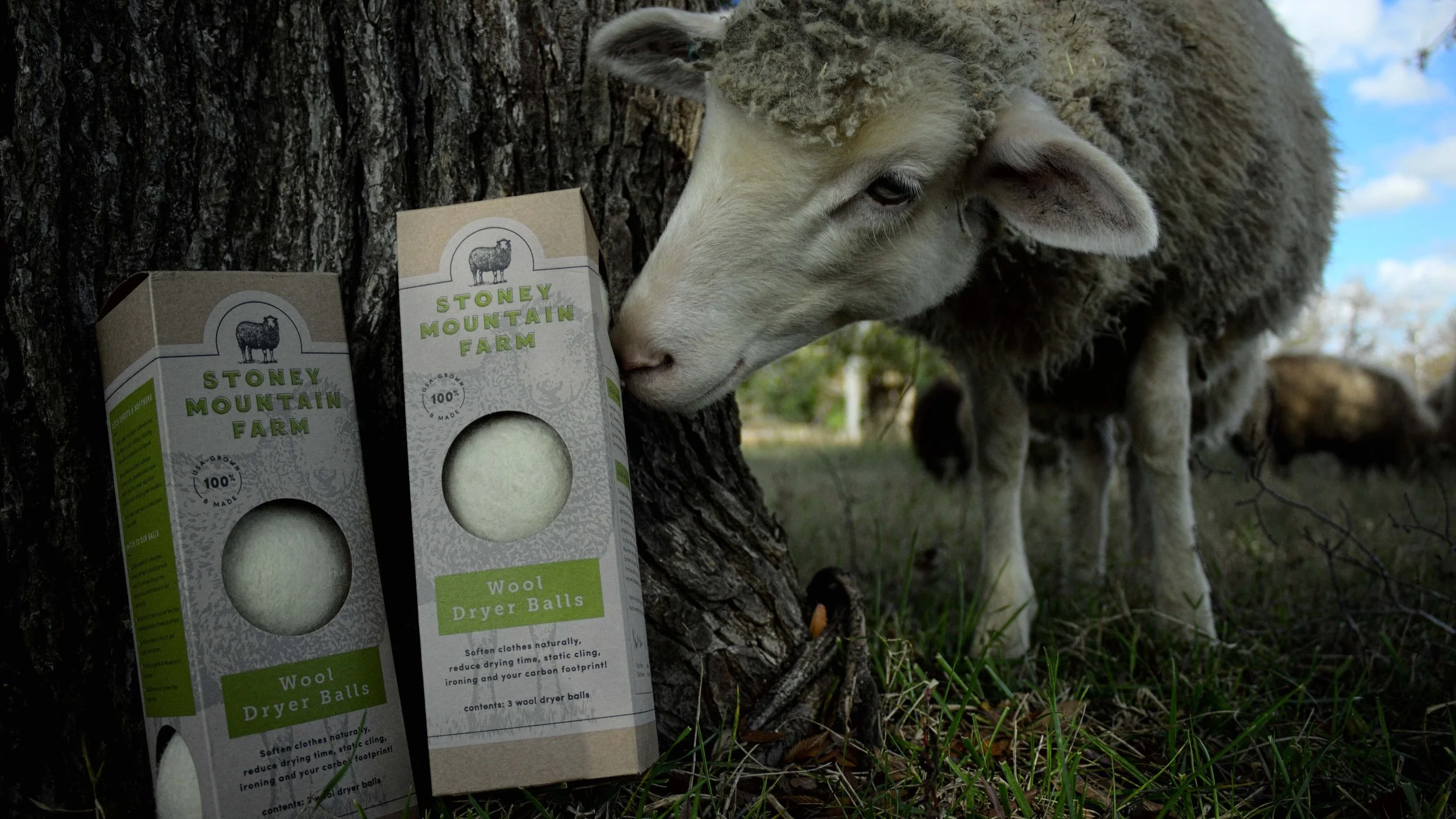 Wool Dryer Balls vs. Dryer Sheets: Why Natural Is Better