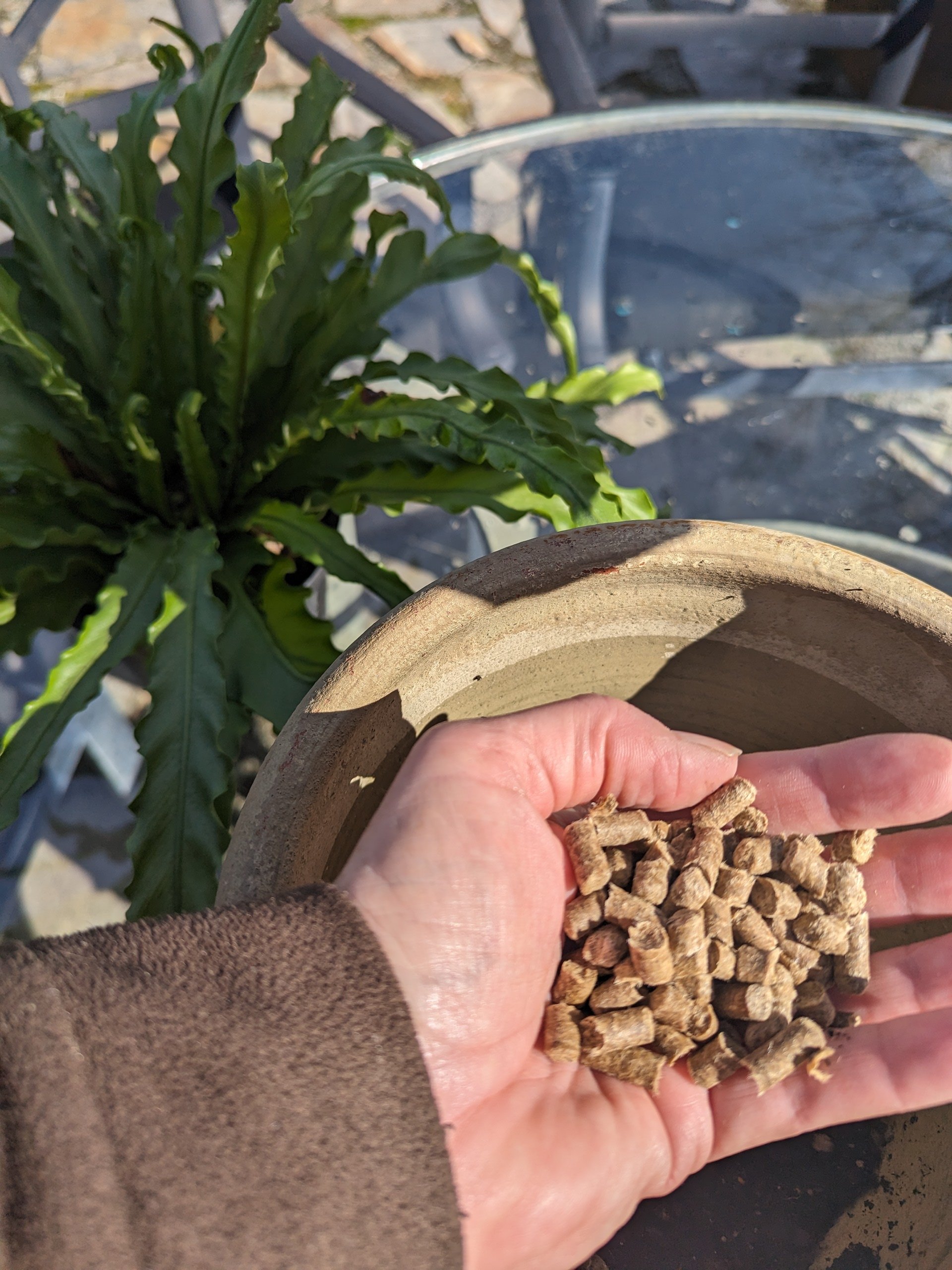 Wool Pellets for Gardening: A Natural Fertilizer Guide