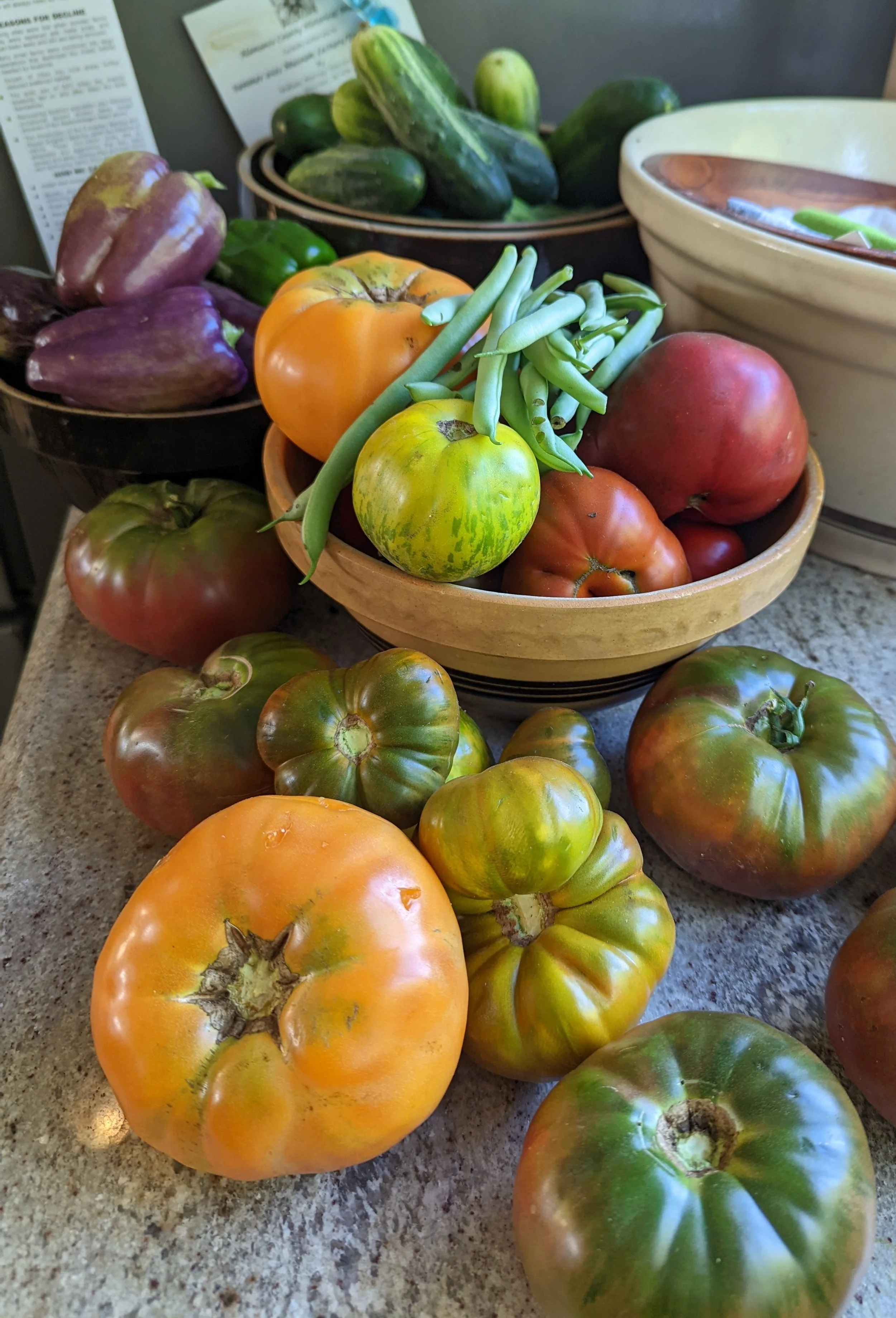 The Zucchini Obligation: Learning to Grow Only What Sustains You