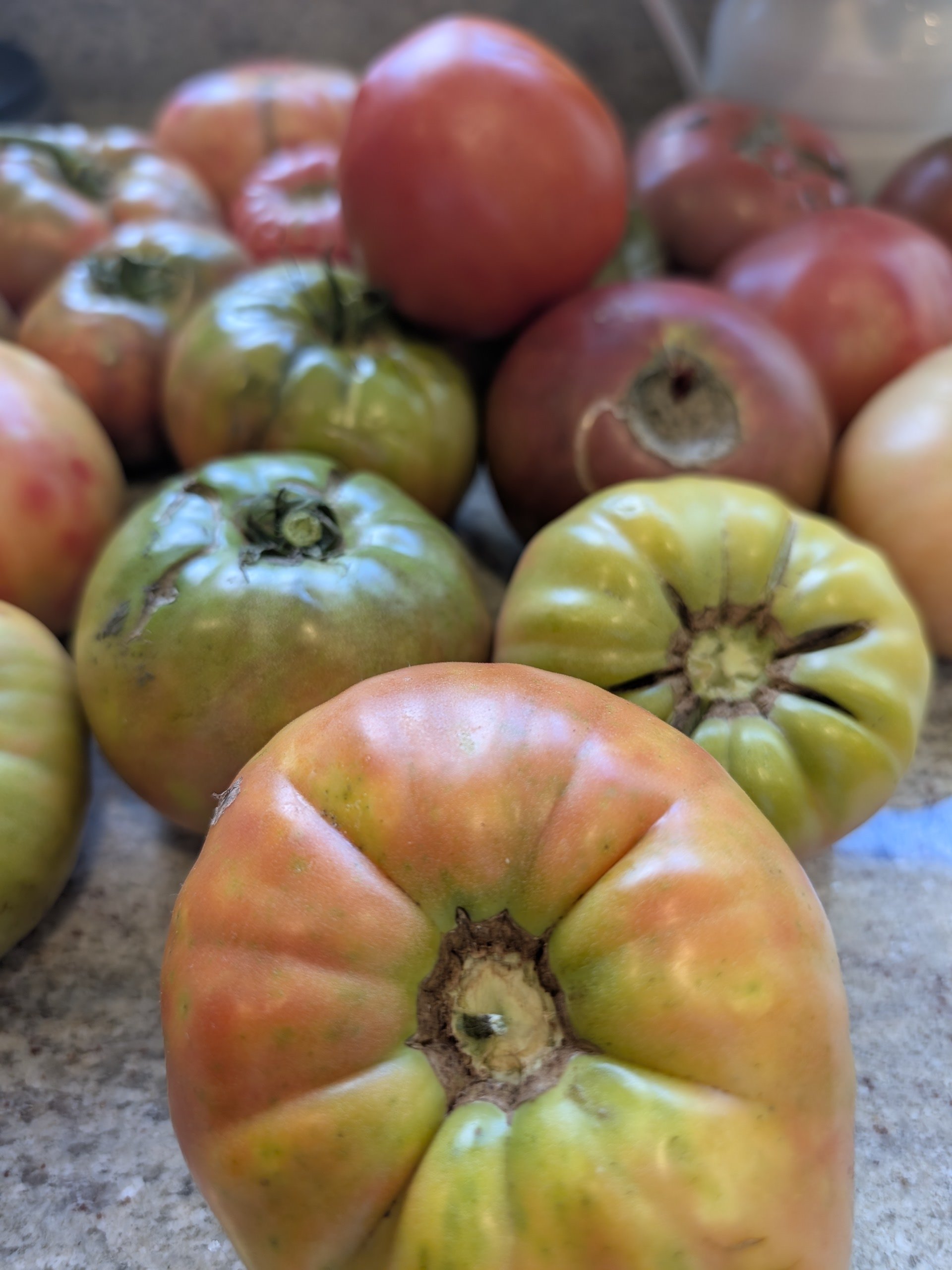 An Ode to Peak Tomato Season:From Flaky Pies to the Chef’s Pot