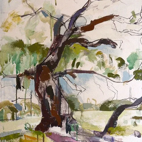Urrea Oaks