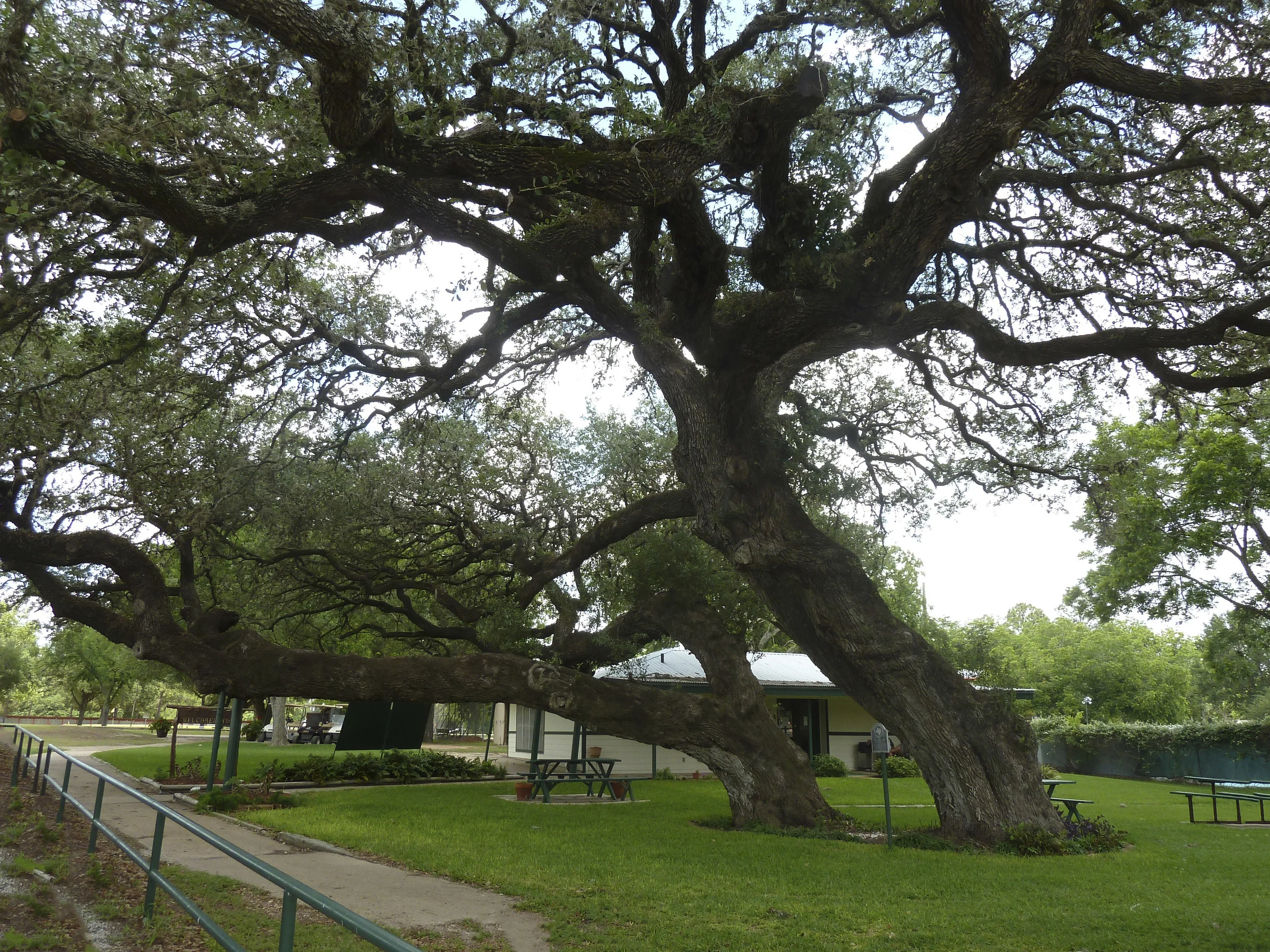 hallettsville-hanging-07.jpg