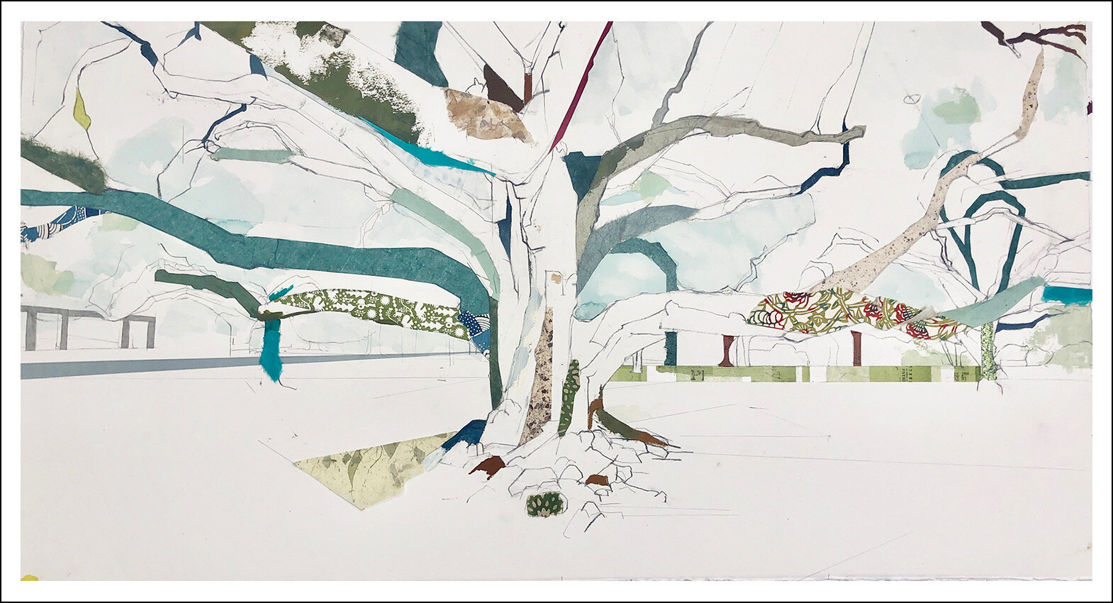 Audubon Park Tree I, 2019 29° 56' 01" N 90° 07' 21.5" W