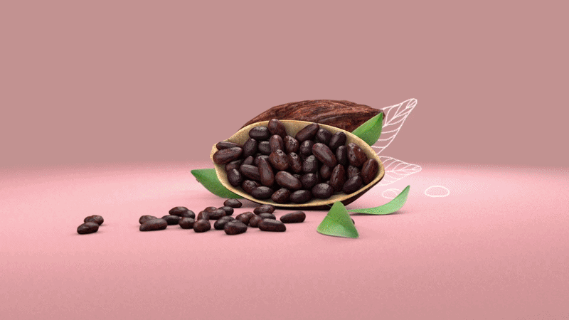 4choclates-ezgif.com-video-to-gif-converter.gif