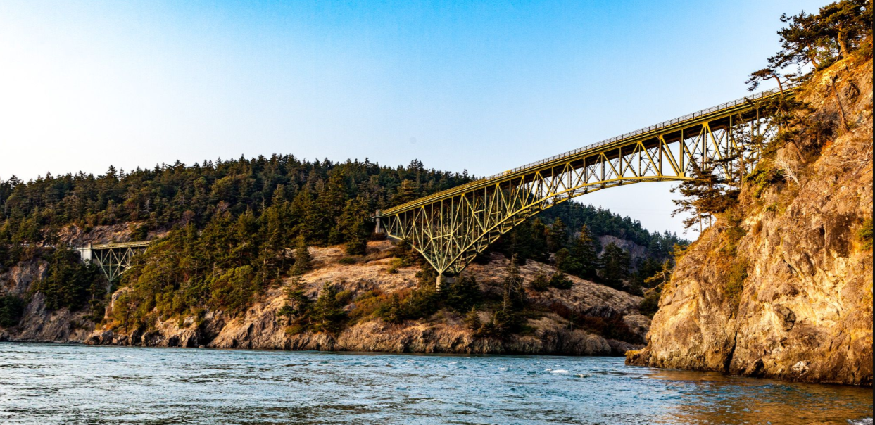 Screenshot 2026-02-20 094904.PNG