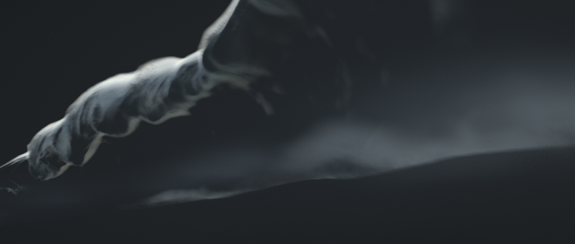 mist_0036.jpg
