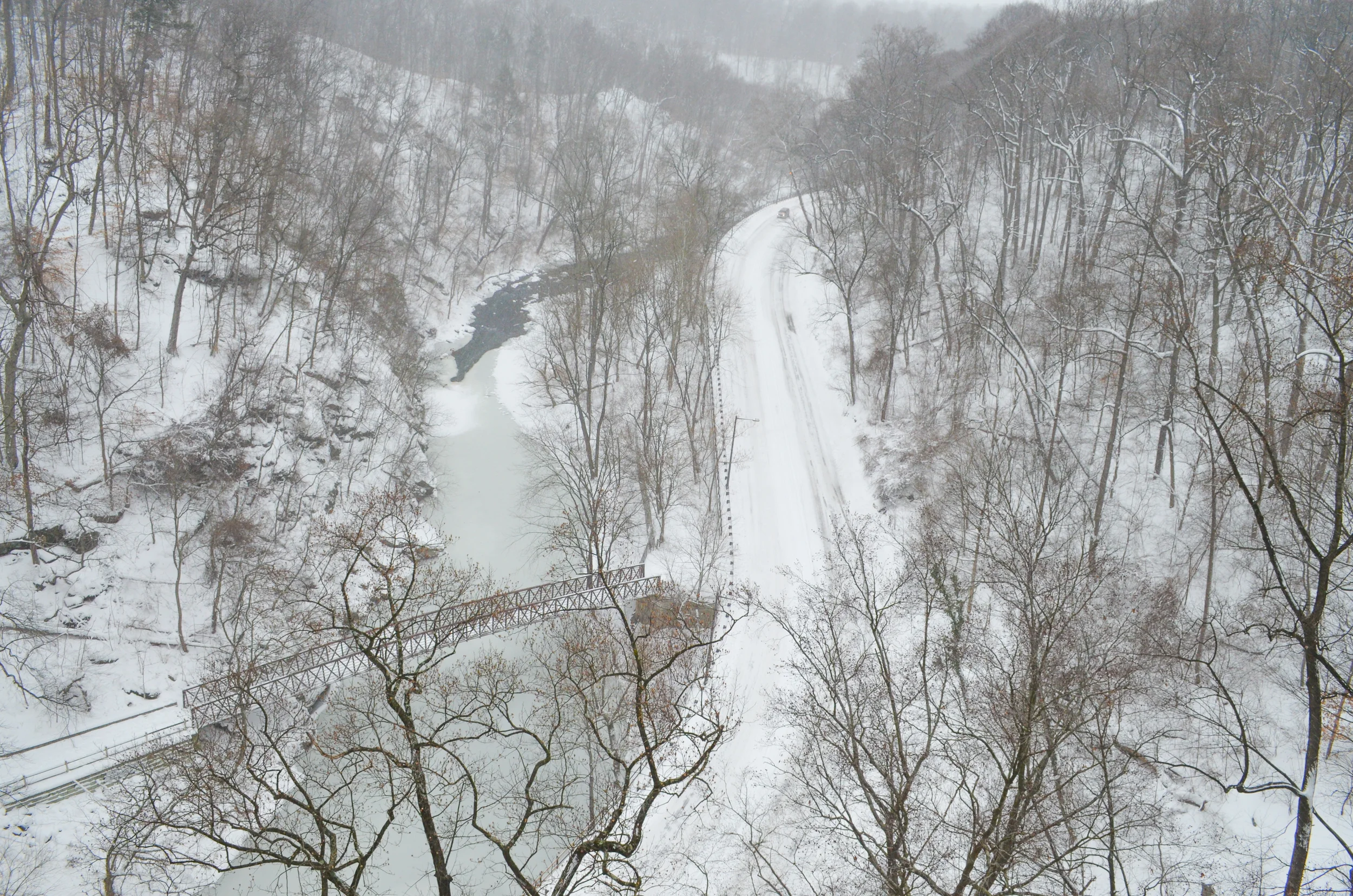 20160123-DSC_0009.jpg