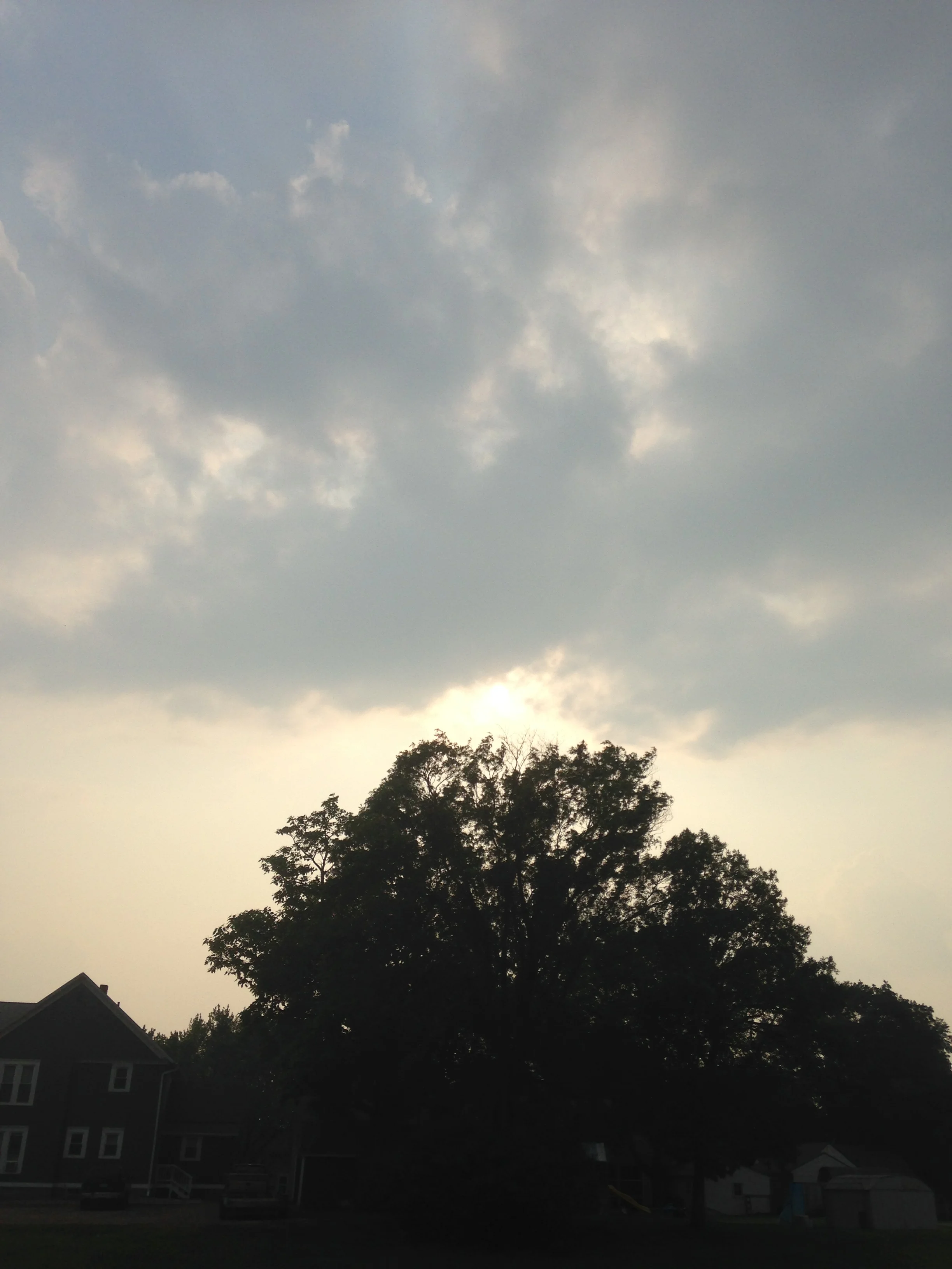 Beautiful-Sunshine.jpg