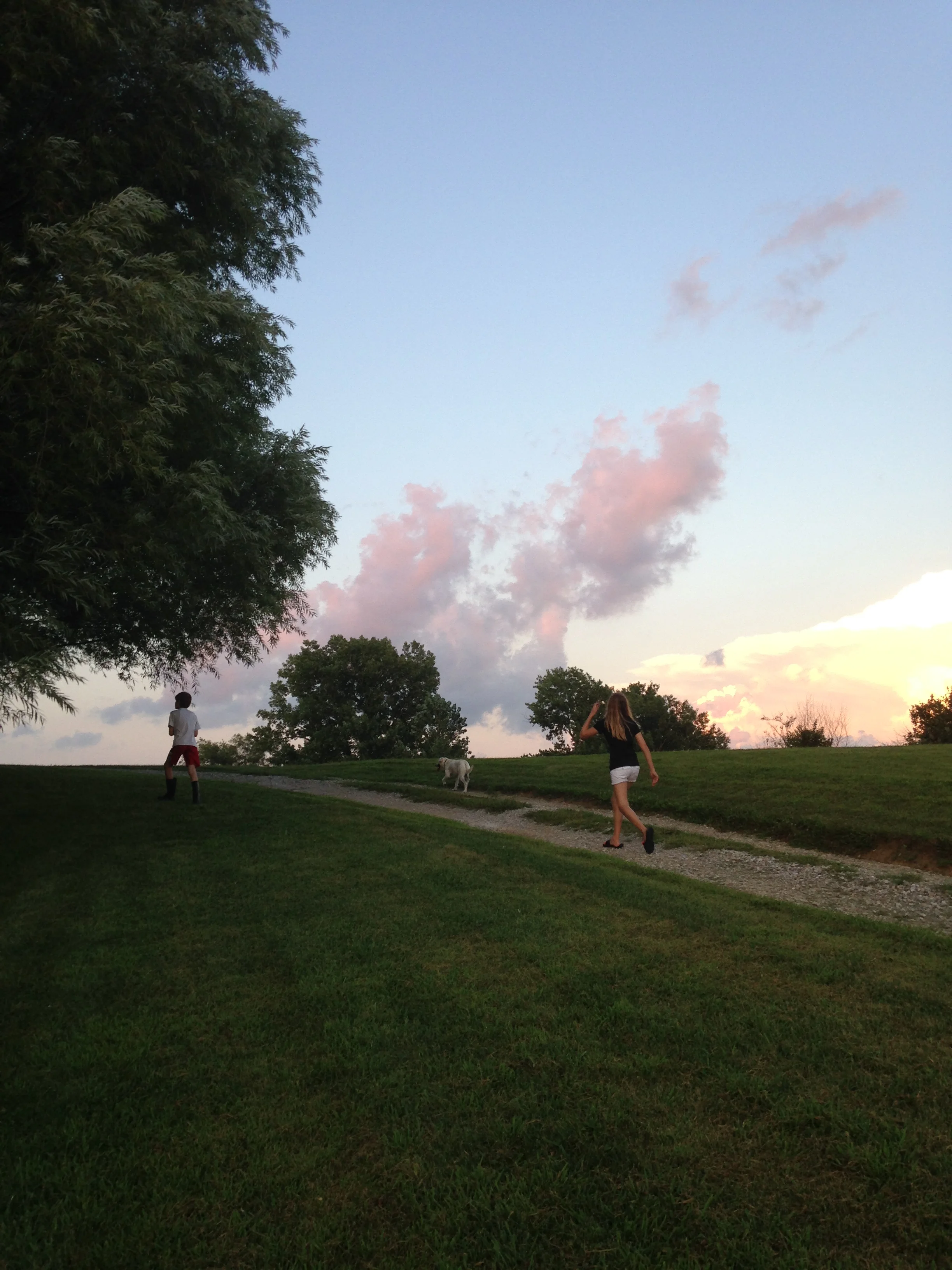 Ashlee-Hunter-Willy-Walking.jpg