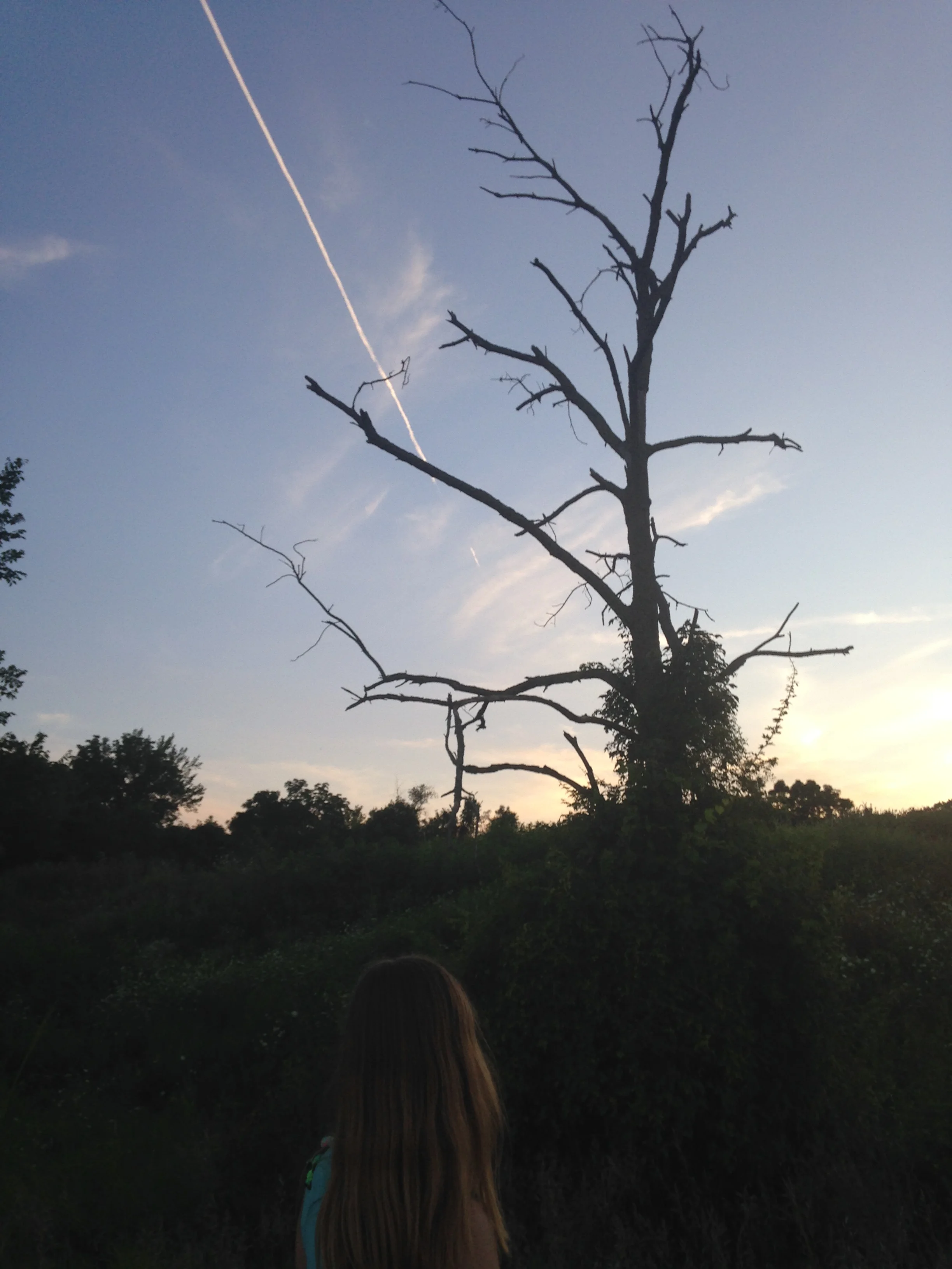 Ashlee-Looking-at-Dead-Tree-and-Sky.jpg