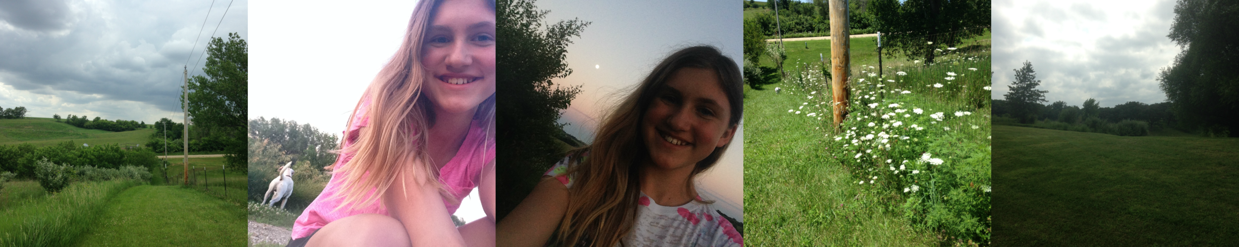 Walks-with-Willy-Sparkles-by-Ashlee.jpg