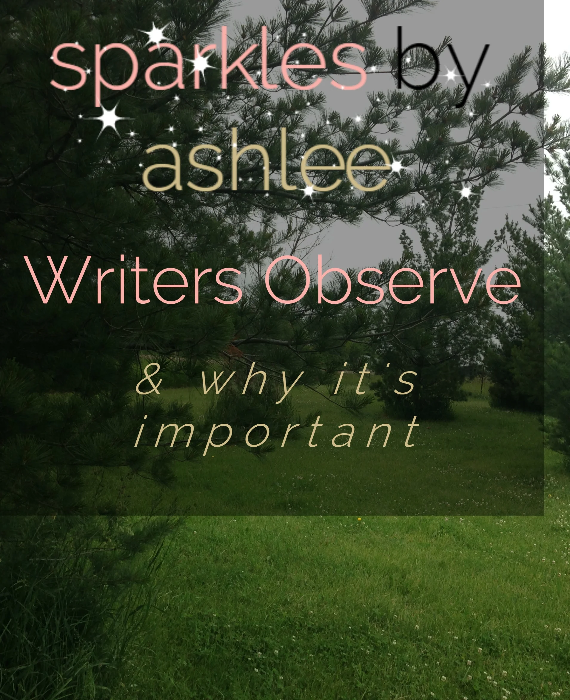 Writers-Observe-Sparkles-by-Ashlee.jpg