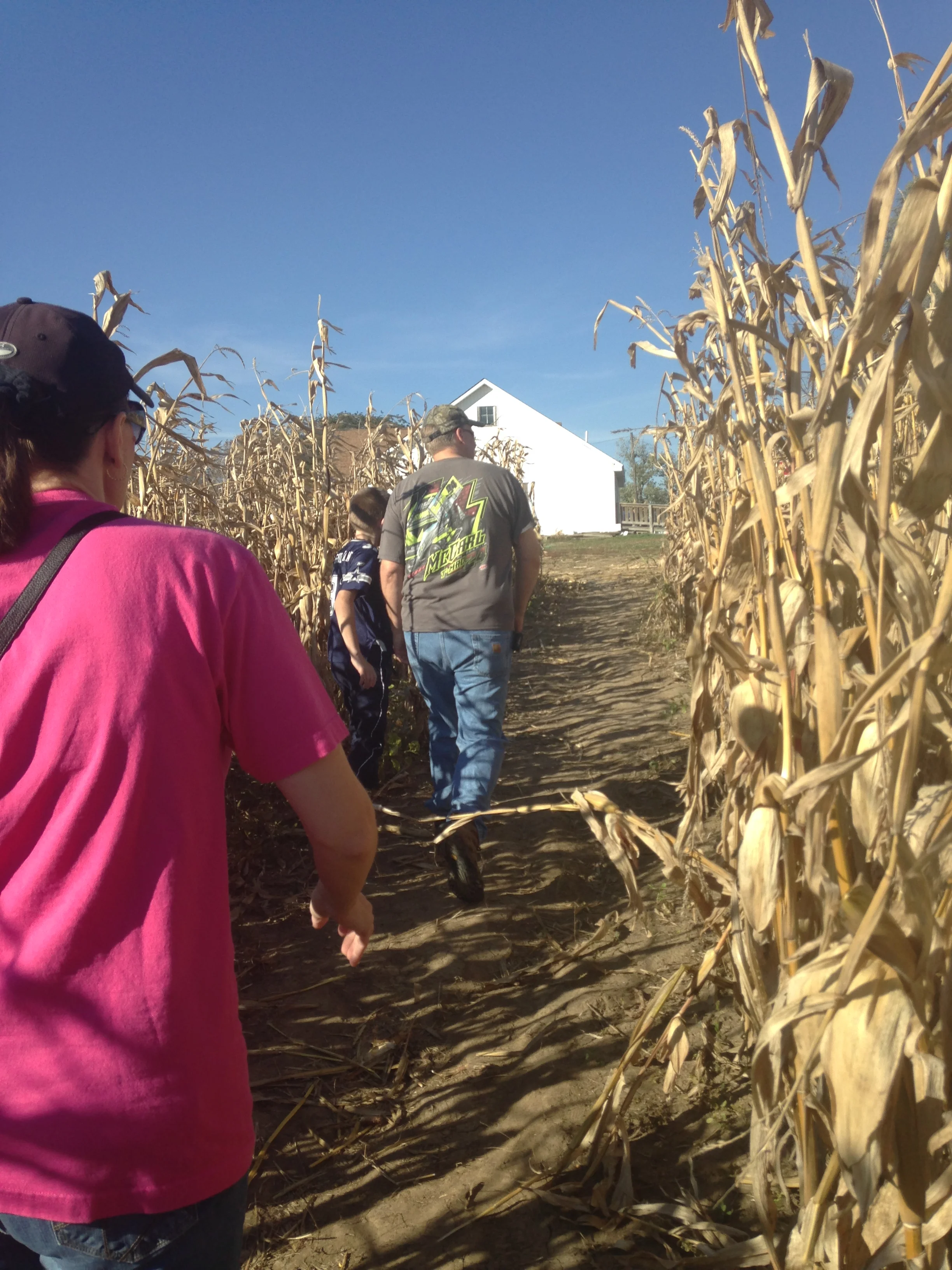 dad got behind in the maze, then stayed behind and was throwing corn at us! it was hilarious!