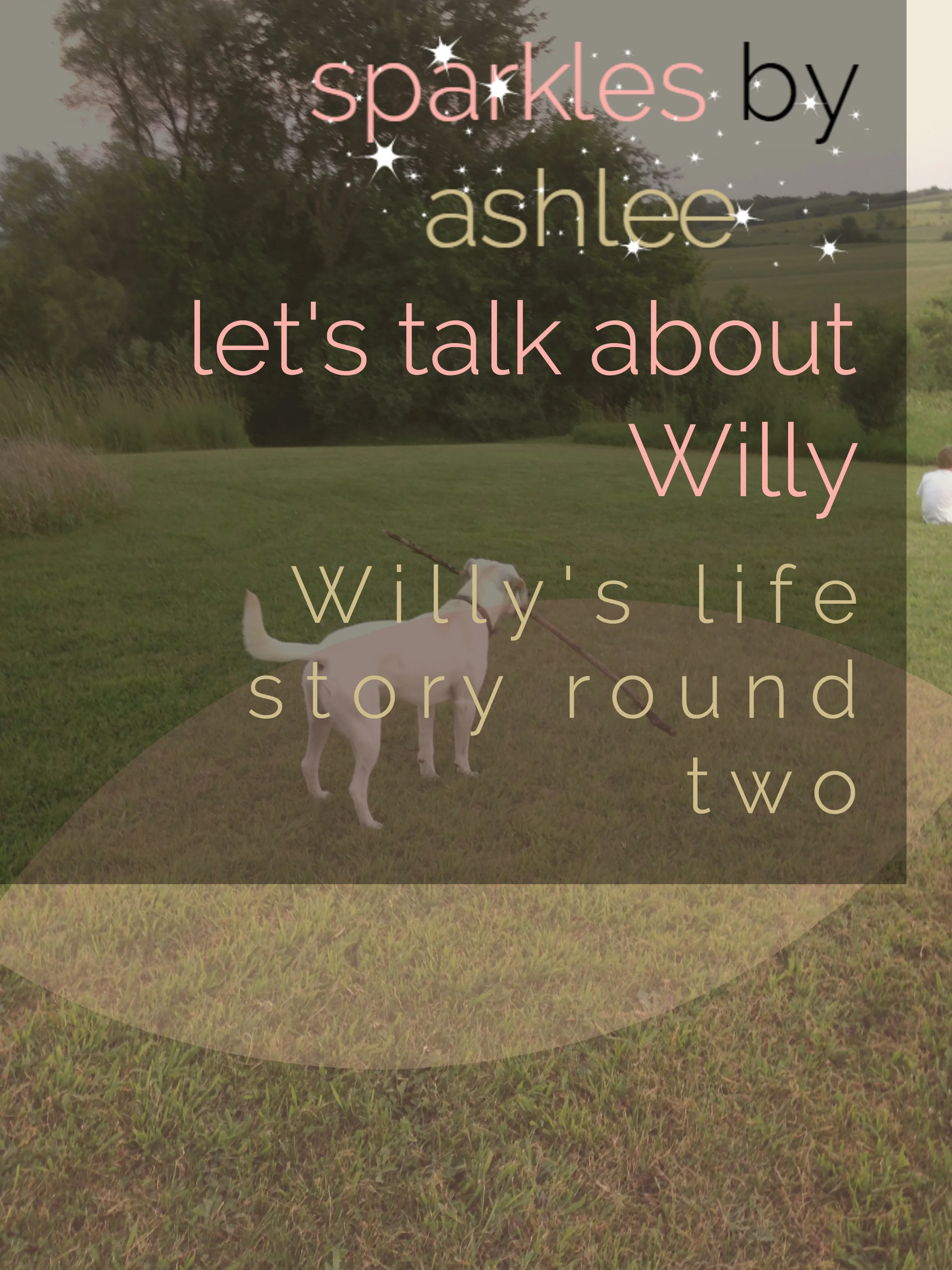 Lets-Talk-About-Willy-Sparkles-by-Ashlee.jpg