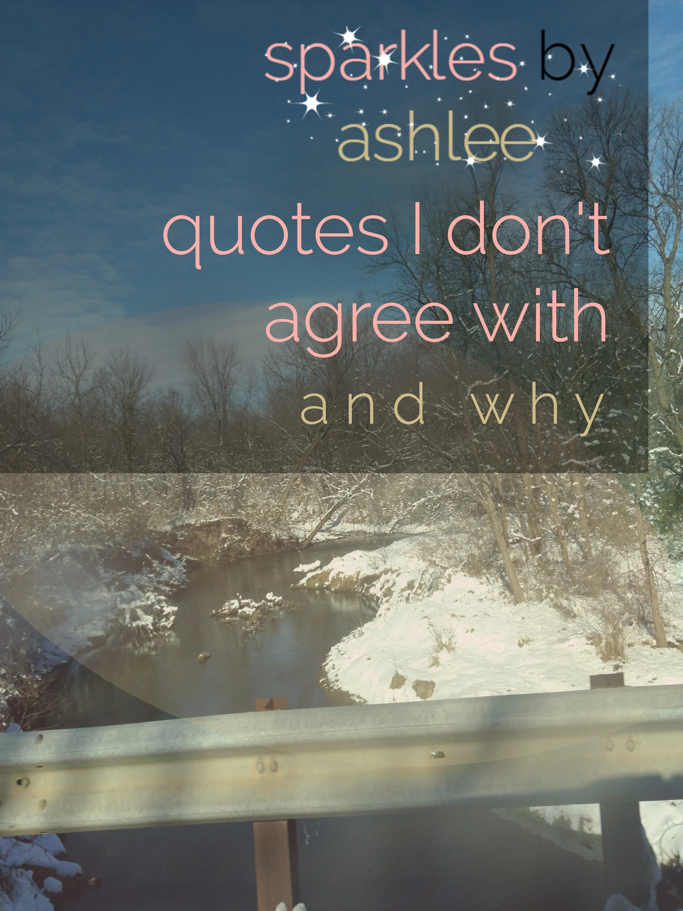 Quotes-I-Dont-Agree-With-Sparkles-by-Ashlee.jpg