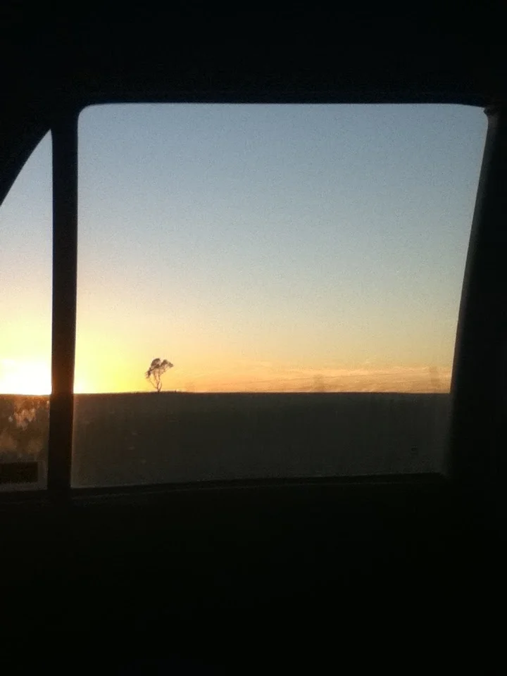 Lone-Tree-Sunset.jpg