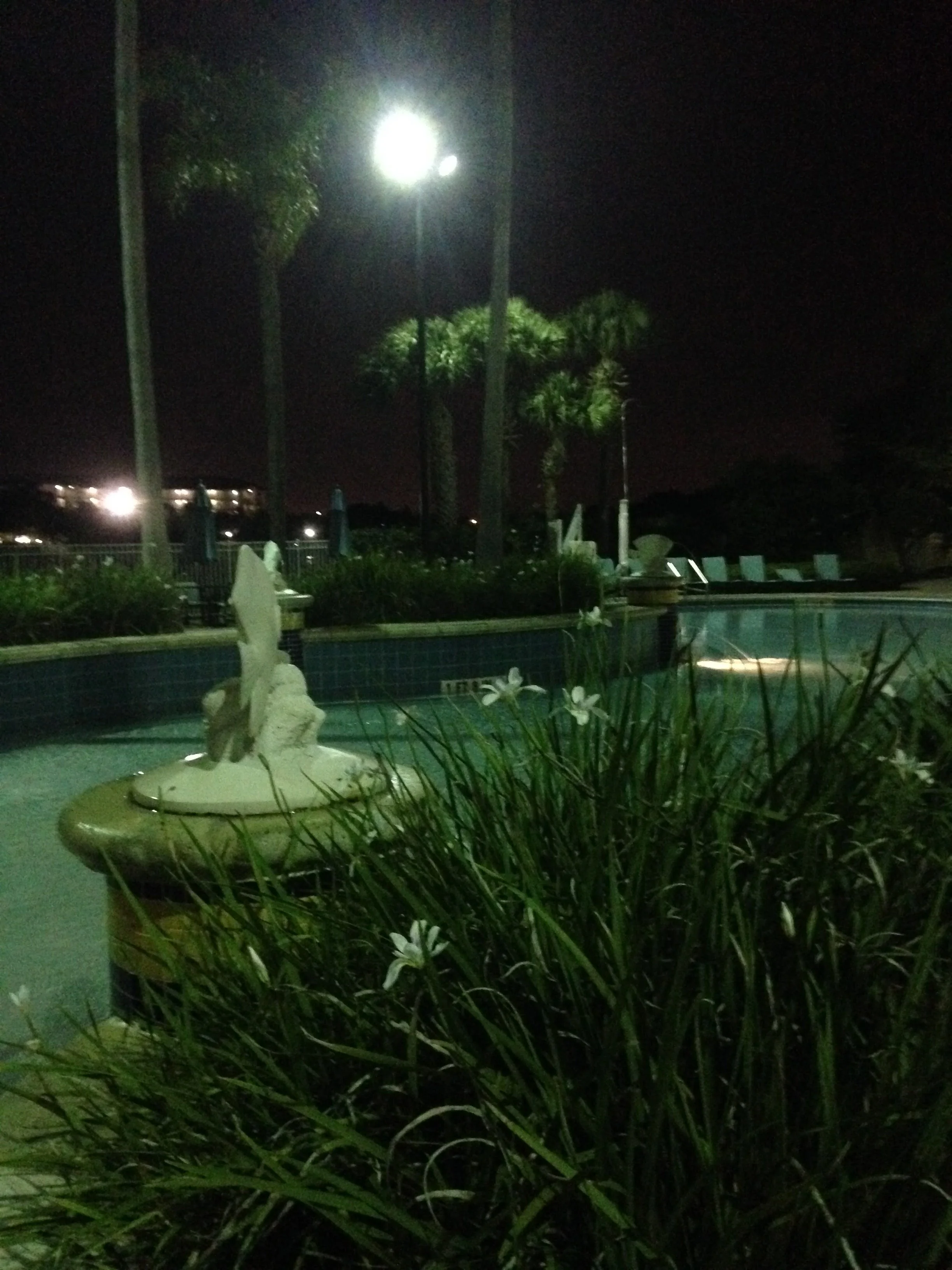Marriott-Swimming-Pool.jpg