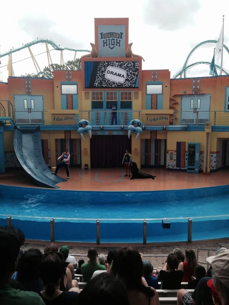 SeaWorld-Sea-Lion-High.jpg