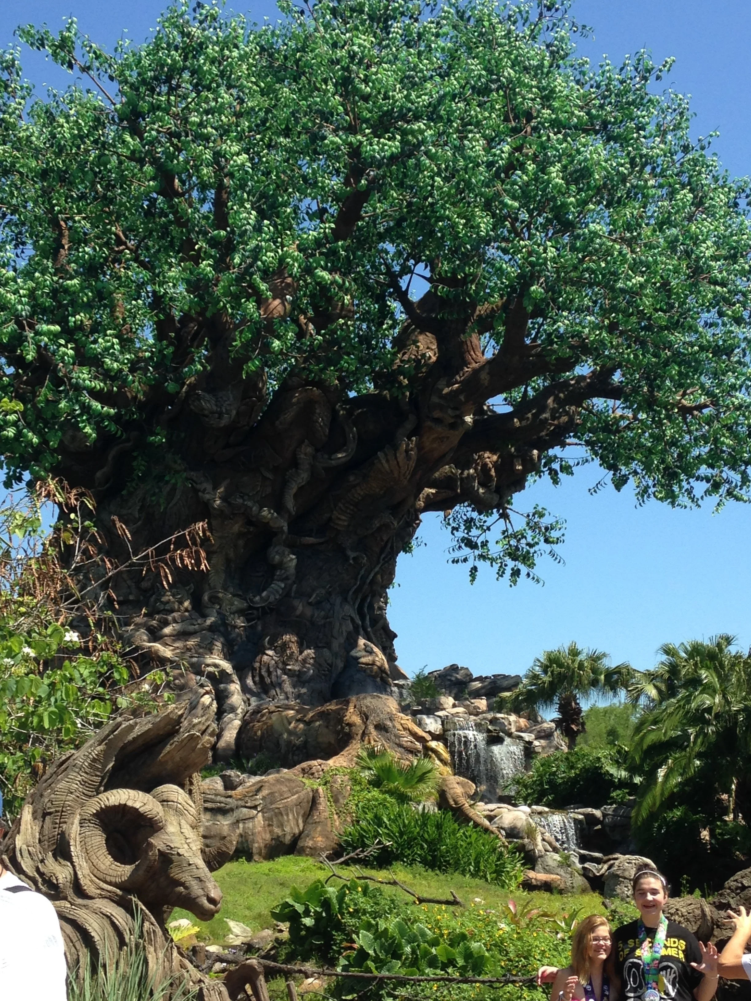 Animal-Kingdom-Tree.jpg