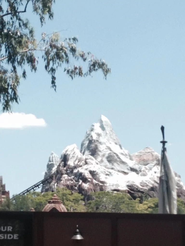 Animal-Kingdom-Everest.jpg