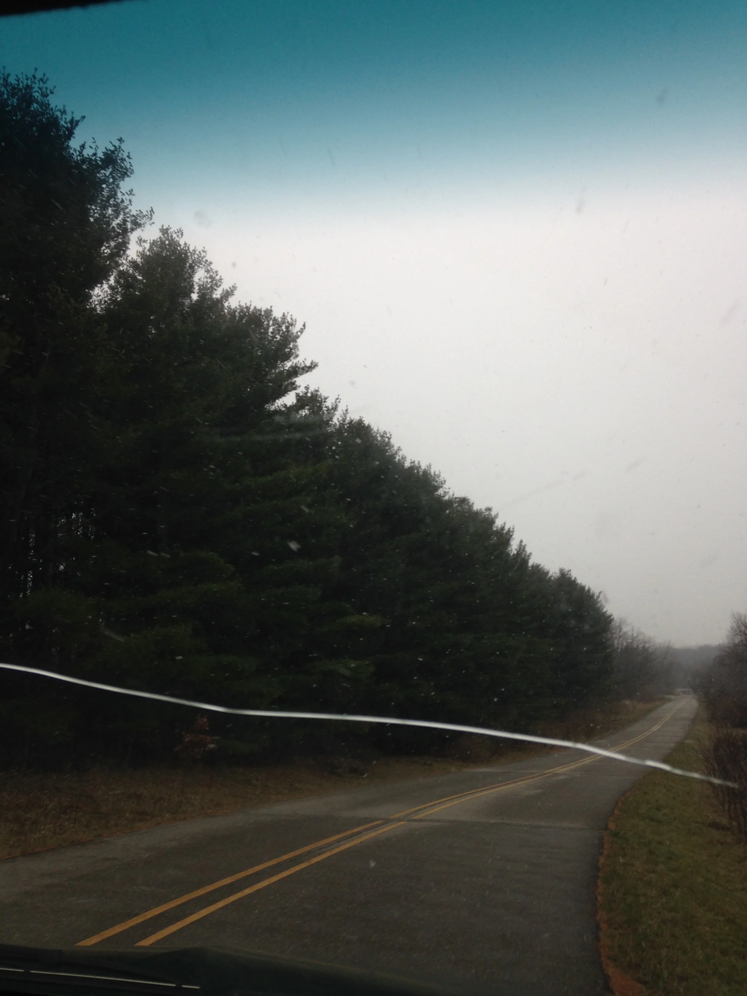 Trees-Snowing.jpg
