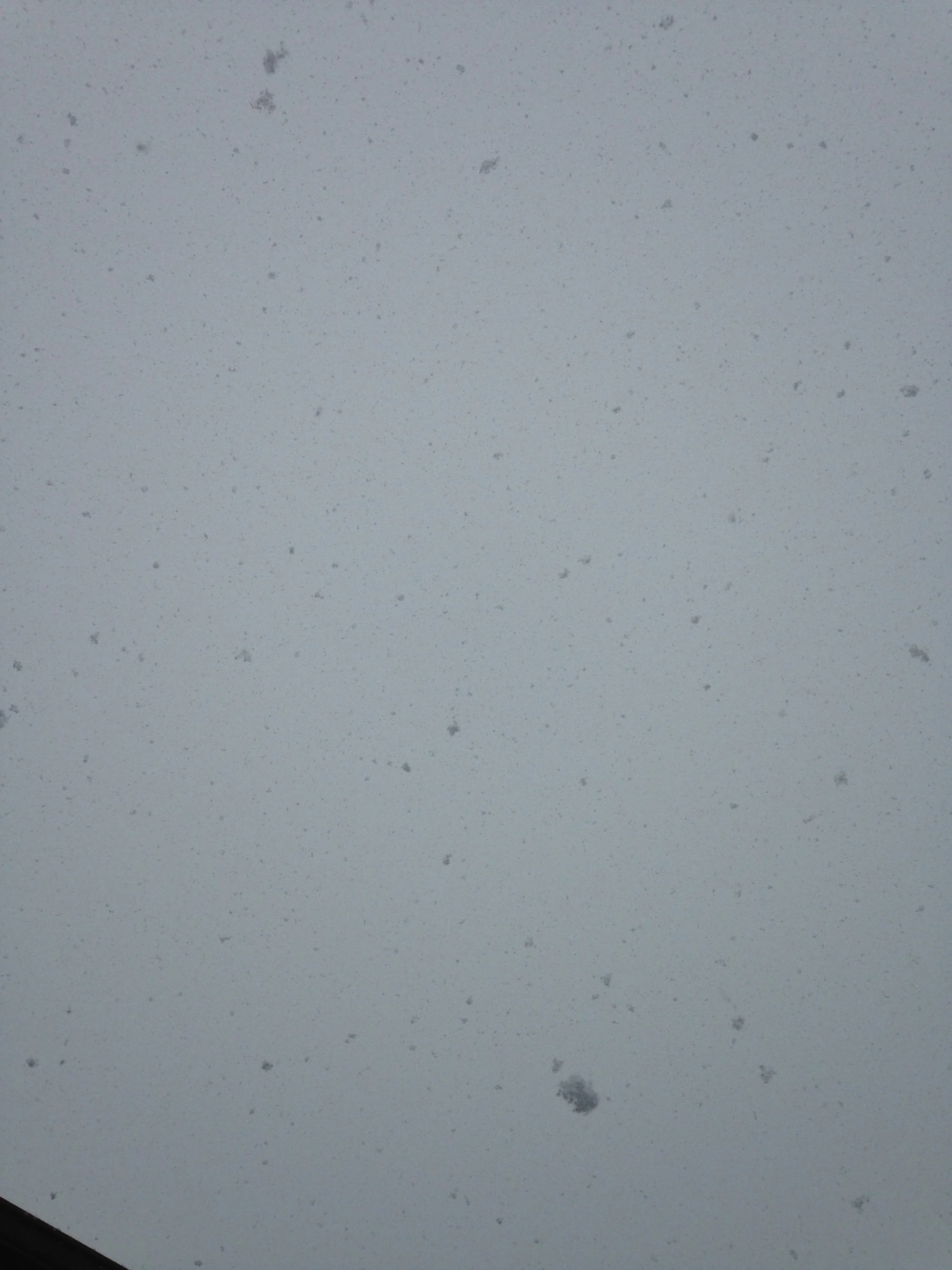 Falling-Snow.jpg