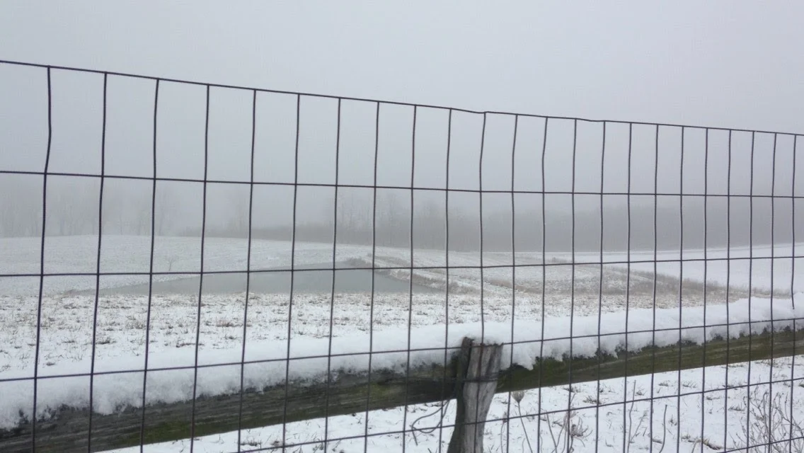 Winter-Day-Fence-and-Pond.jpg