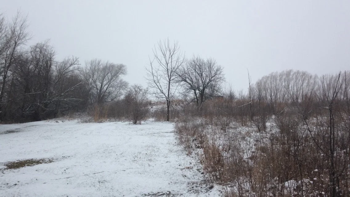 Winter-Day-Property.jpg