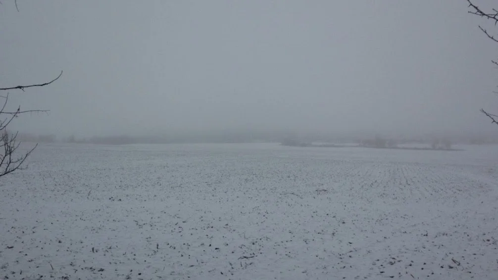 Winter-Day-White-Field.jpg