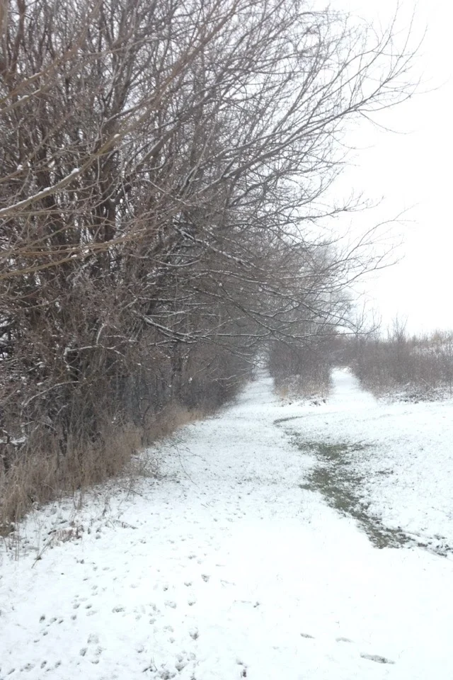 Winter-Day-Trails.jpg