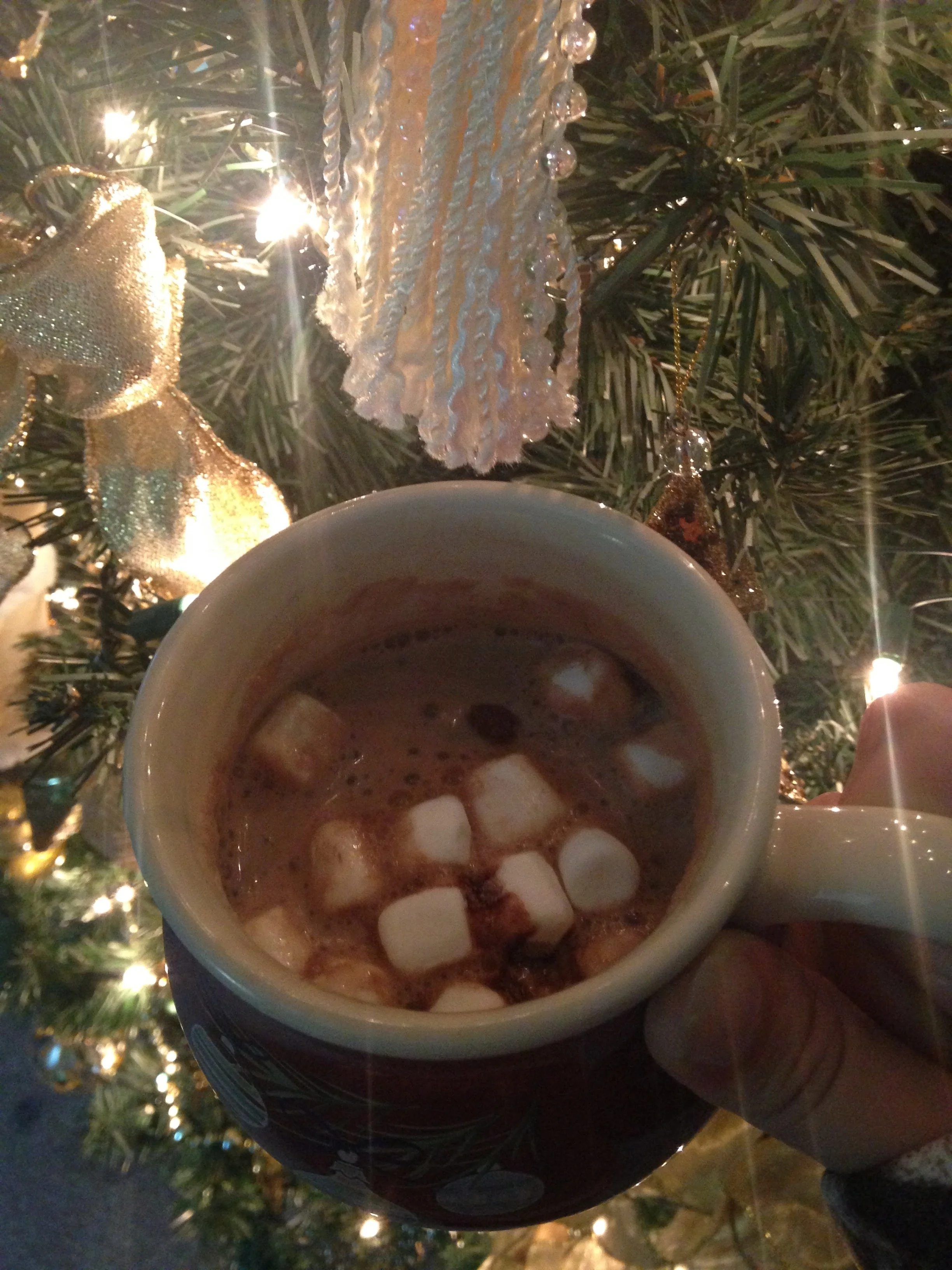 Hot-Chocolate-by-Christmas-Tree.jpg