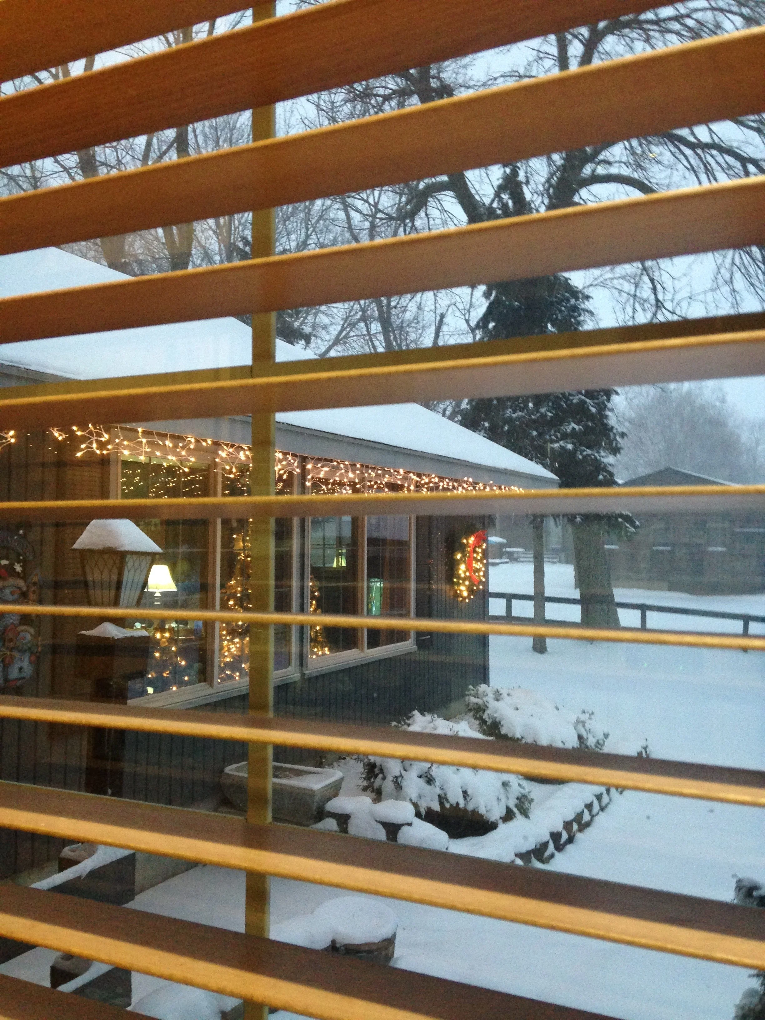 Snow-and-Christmas-Lights.jpg