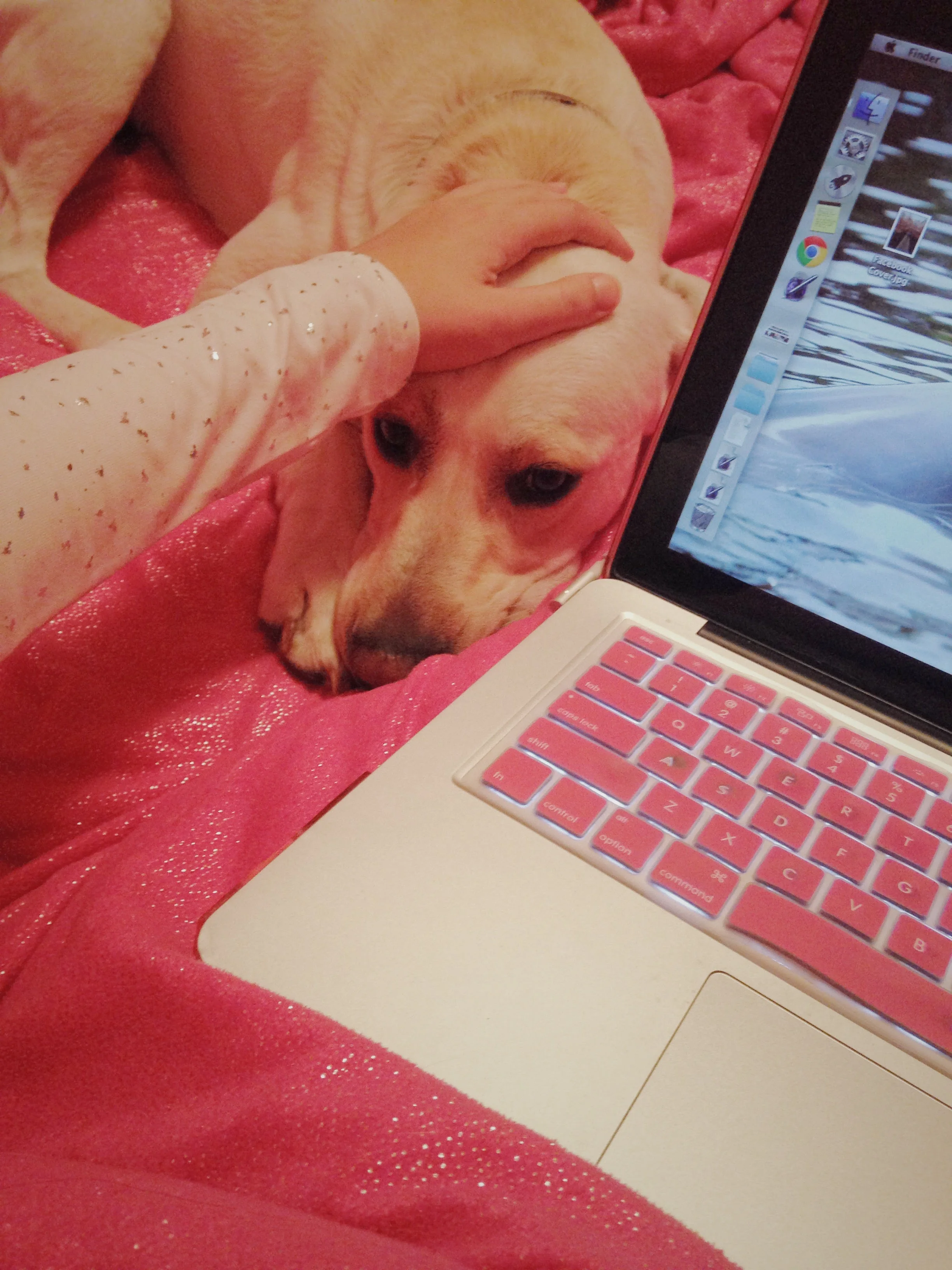 Ashlee-Petting-Willy-Blogging.jpg