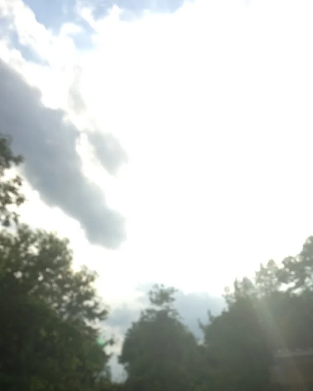 Sunshine-Blank-Park-Zoo.jpg