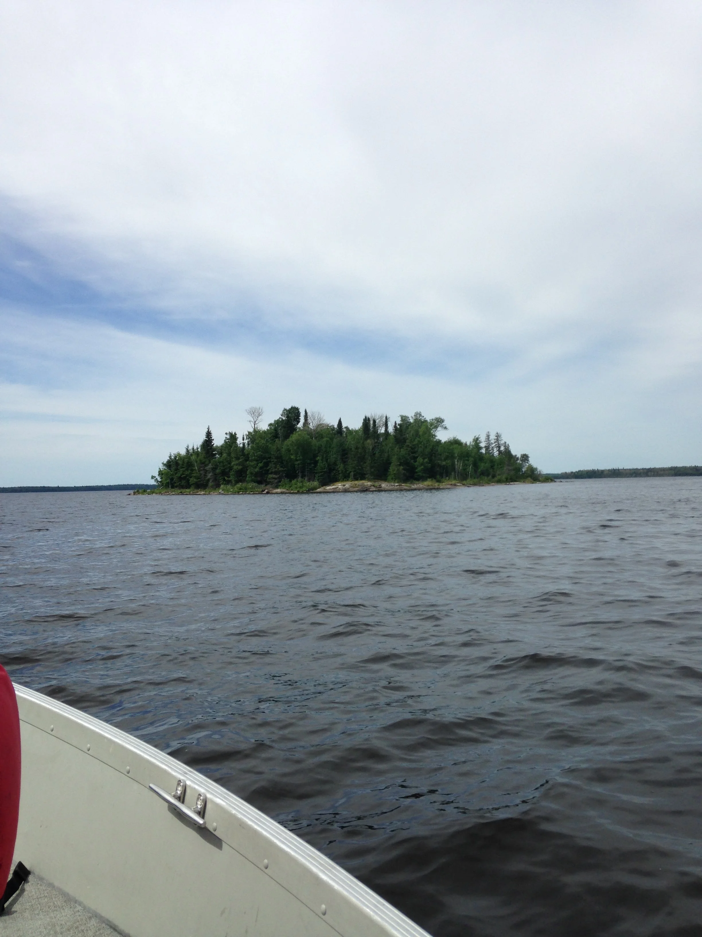 Canada-Island-of-Trees.jpg
