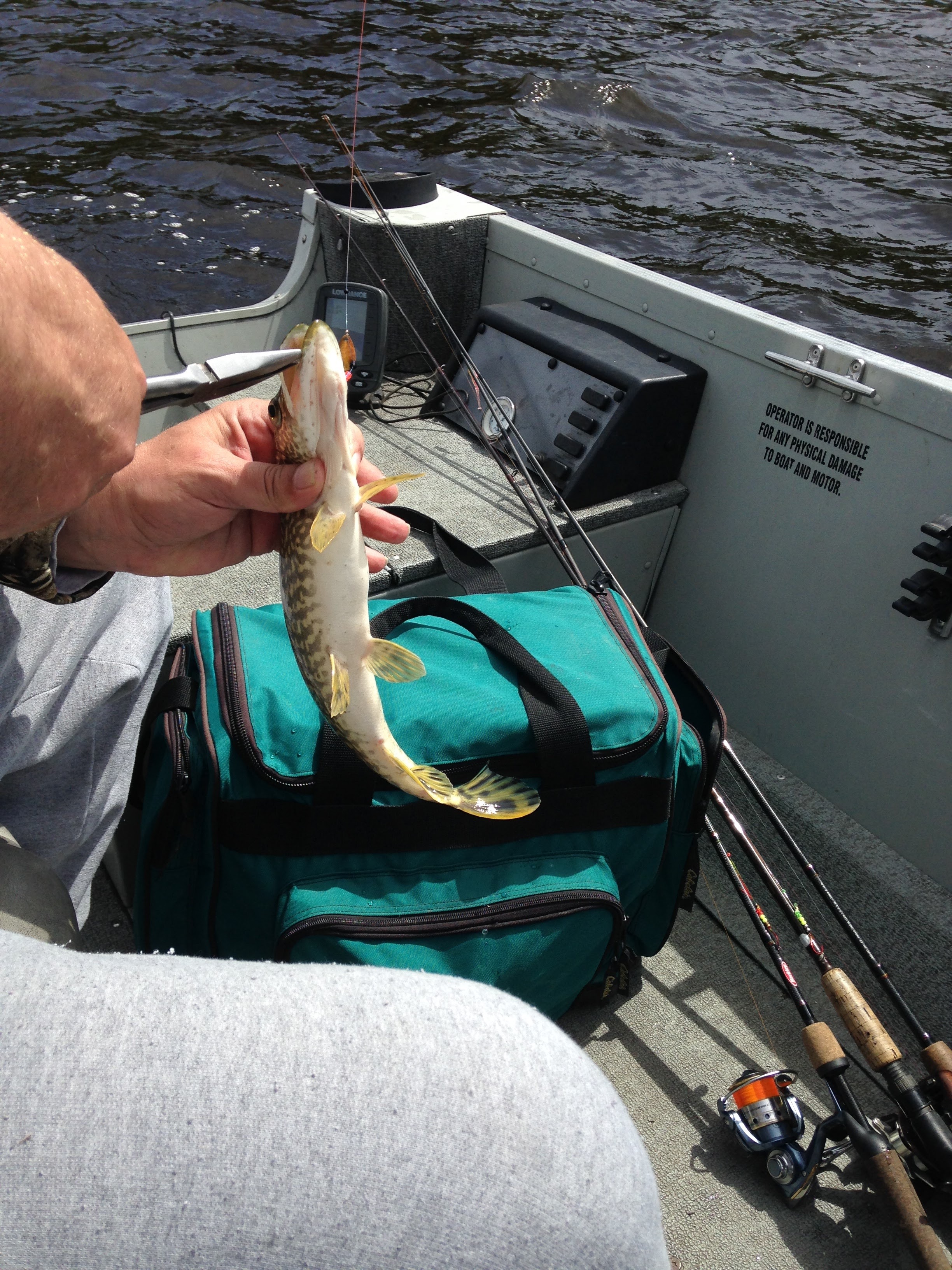 Catching-Fish.jpg